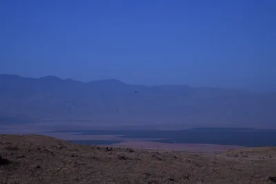 DSC_2181 (Large).JPG